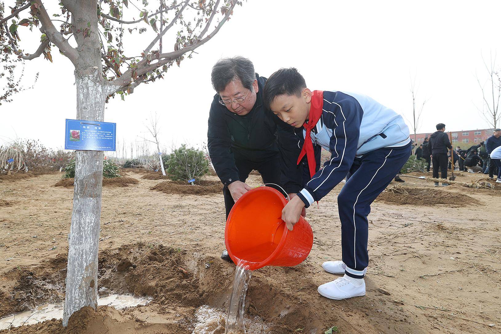 春季义务植树活动在郑州举行