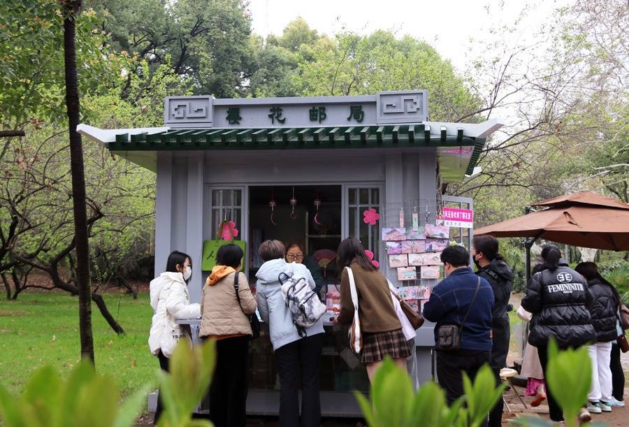 武汉大学校园内的樱花邮局(央广网发 张卓 摄)返回搜狐,查看更多