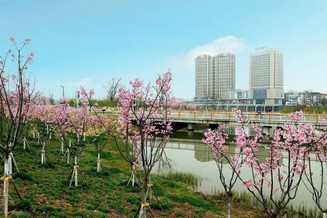 99路線詳情73遊覽點:沮河國家溼地公園→鹿苑村→回龍灣→鳴鳳山