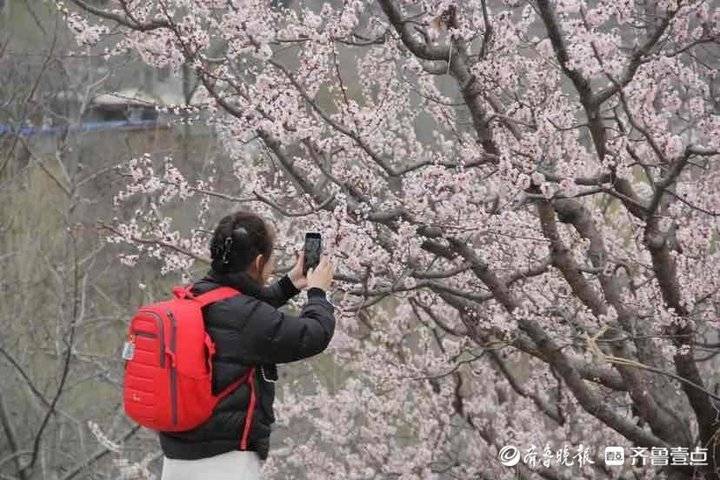 齐鲁早报|山东10地入选国度汗青文化名城；山东探获又一大型金矿床