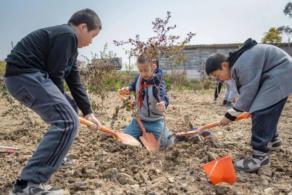 3月15日早上,长乐区实验小学组织学生们来到猴屿乡茂丰休闲农庄进行