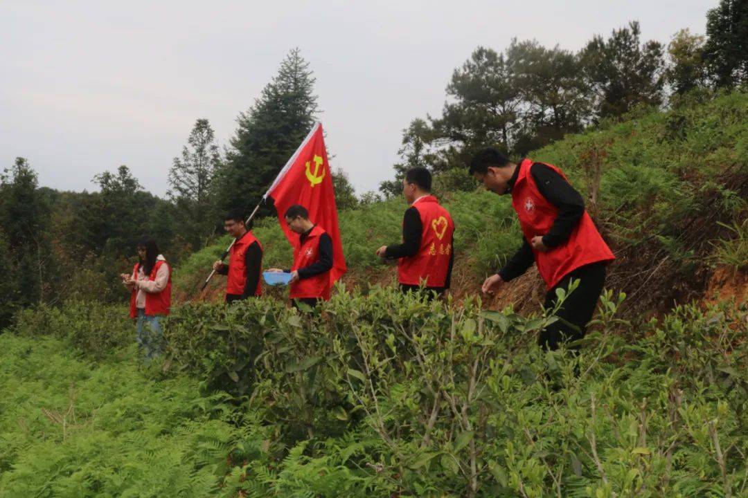 “弘扬雷锋精神 争当意愿前锋”|县天然资本局各收部开展丰硕多彩的主题党日活动