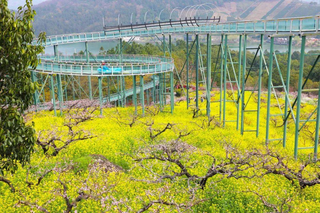 城山沟第十五届桃花节暨"长小兴"亲子研学旅行幸福行动开幕!