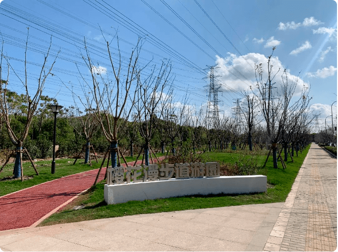 健身,賞櫻兩不誤,這些櫻花步道邀您來打卡_景觀_大道_遊園