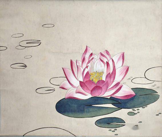 孙其峰 睡莲图 38x45 1950年代孙其峰 写意菖兰 31x40 1960年代孙其峰