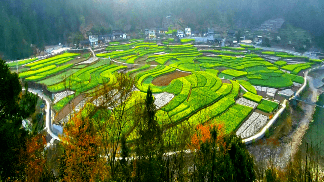 一封来自简池镇的春日邀请函_镇巴县_李塘_活动