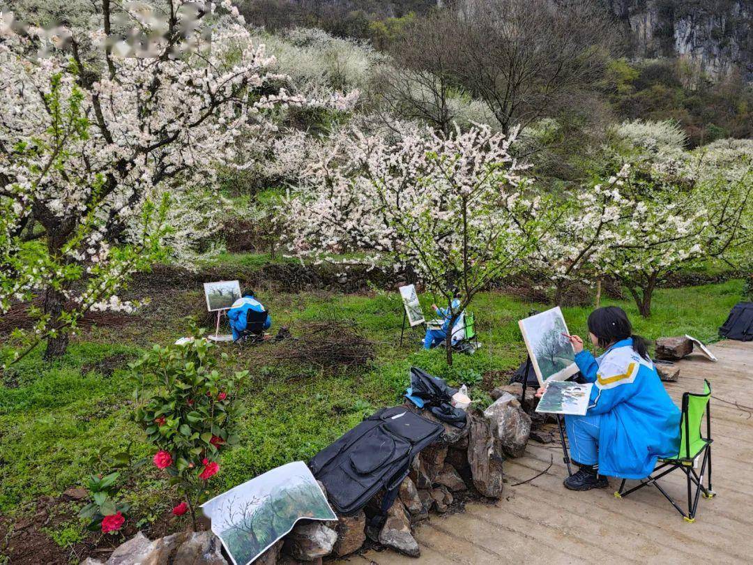 白水寨村李子花游艺活动如期举行_旧州镇_绘画_游客