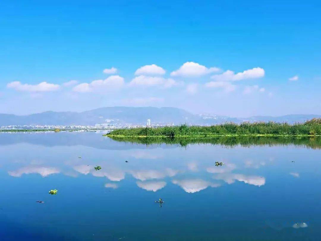 通海杞麓湖图片