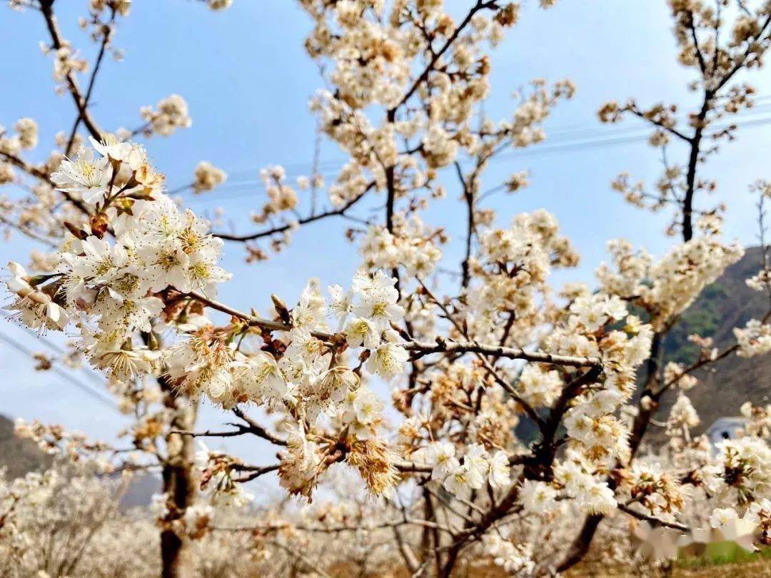 昭阳区青岗岭乡图片