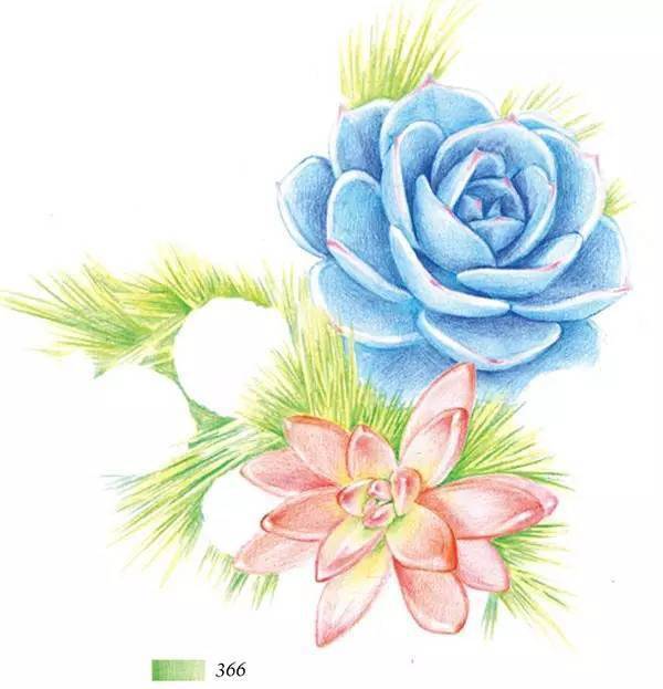 彩铅教程 | 多肉捧花,小清新,易上手!_版权_水彩_知识