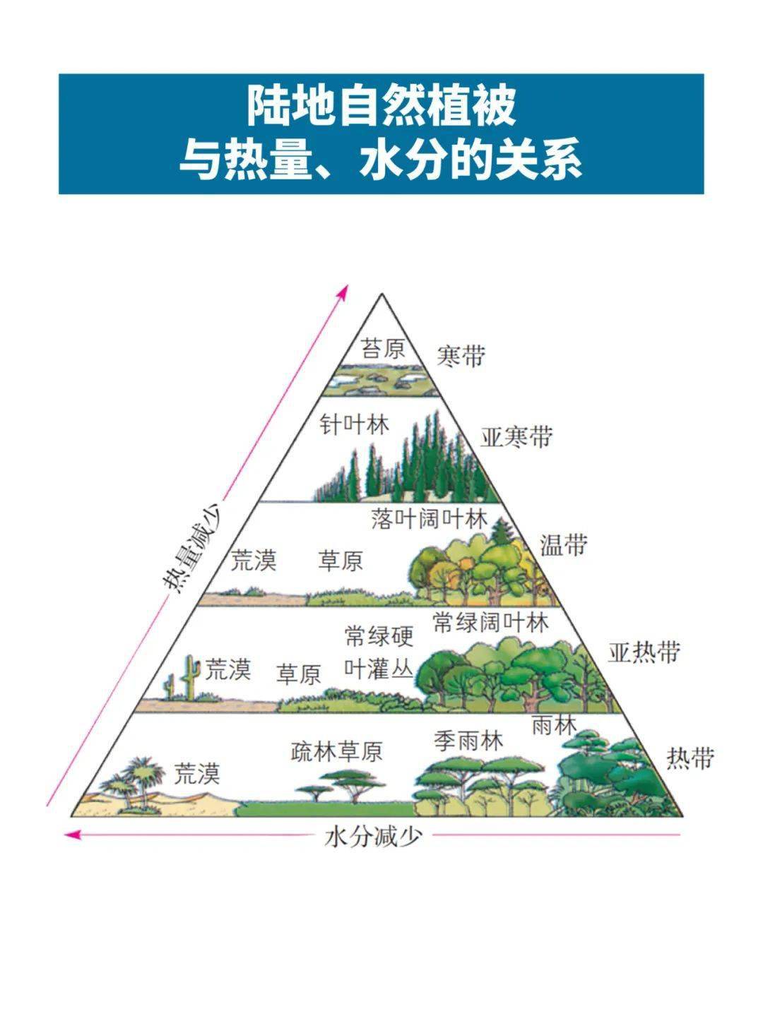 每日一图 山地垂直自然带示意图