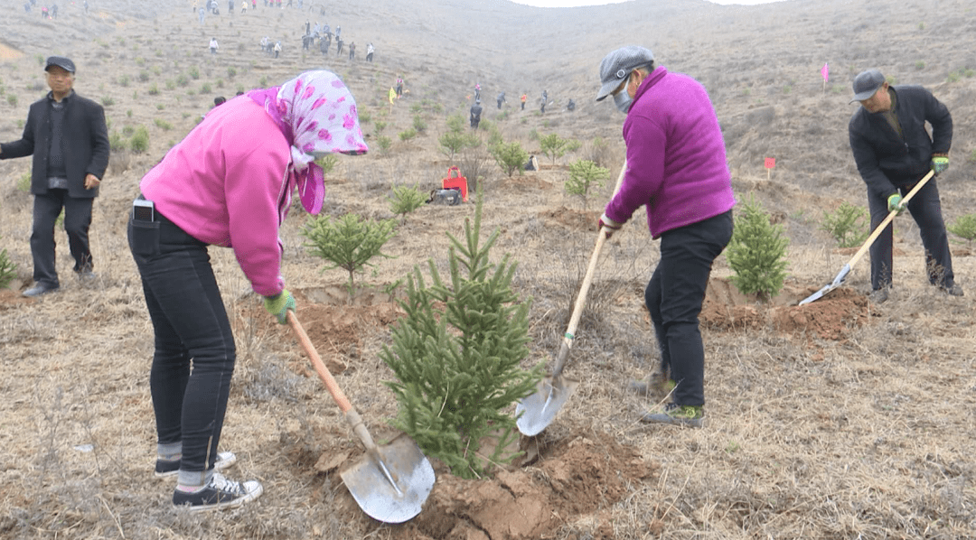 东华镇裕光村党支部书记 吴小平:"东华镇今天动员七个村260余人在裕光