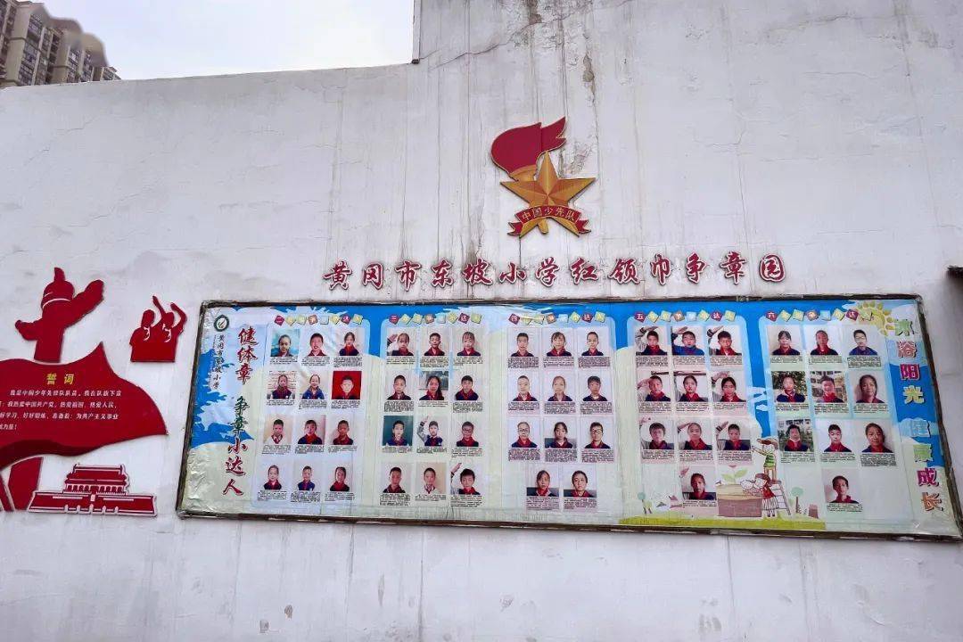 学习了黄冈市博物馆的"红领巾争章卡"激励体系并聆听了黄冈市博物馆