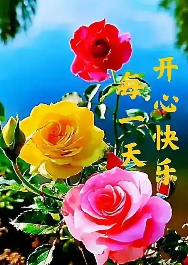 朋友,祝您开心快乐每一天!_调整_心态_生活