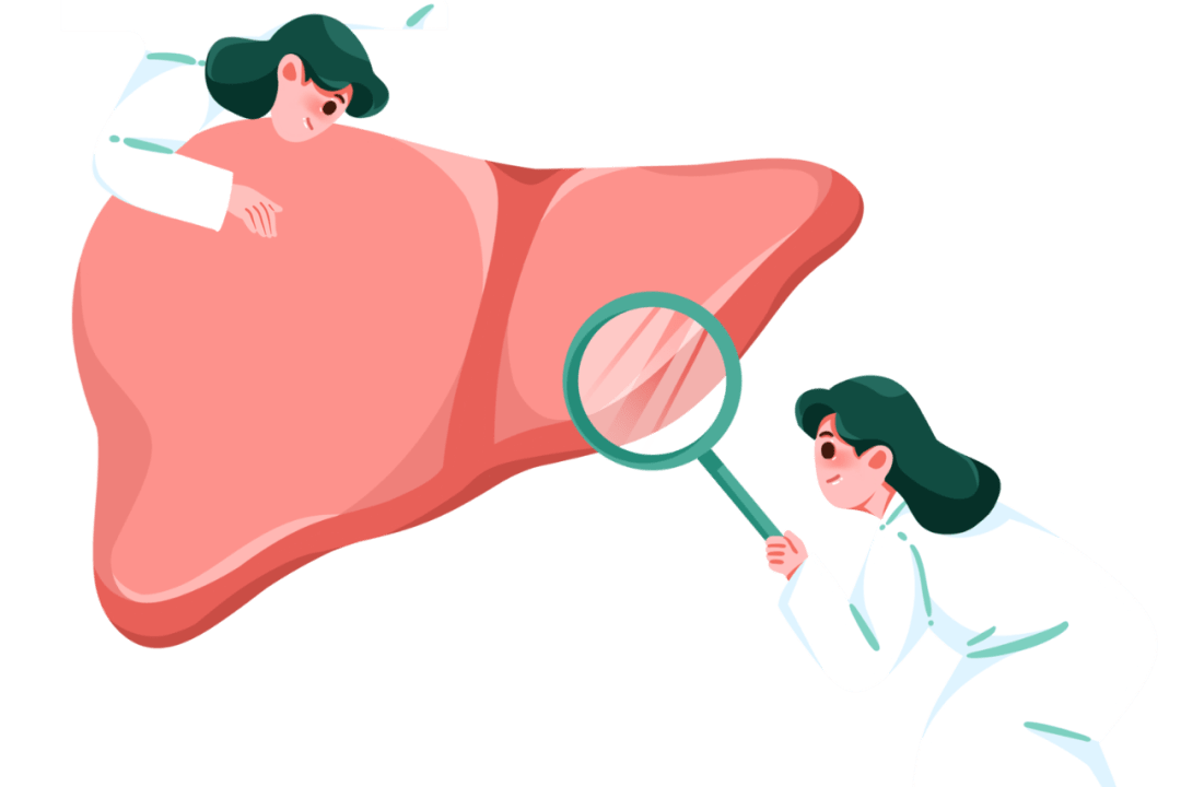 避免患上慢性肝病,要注意它的日常养护 | 全国爱肝日_肝脏_合成_功能