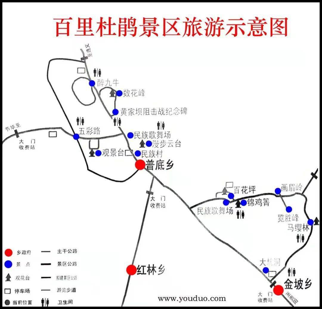 南山放牛村杜鹃花路线图片