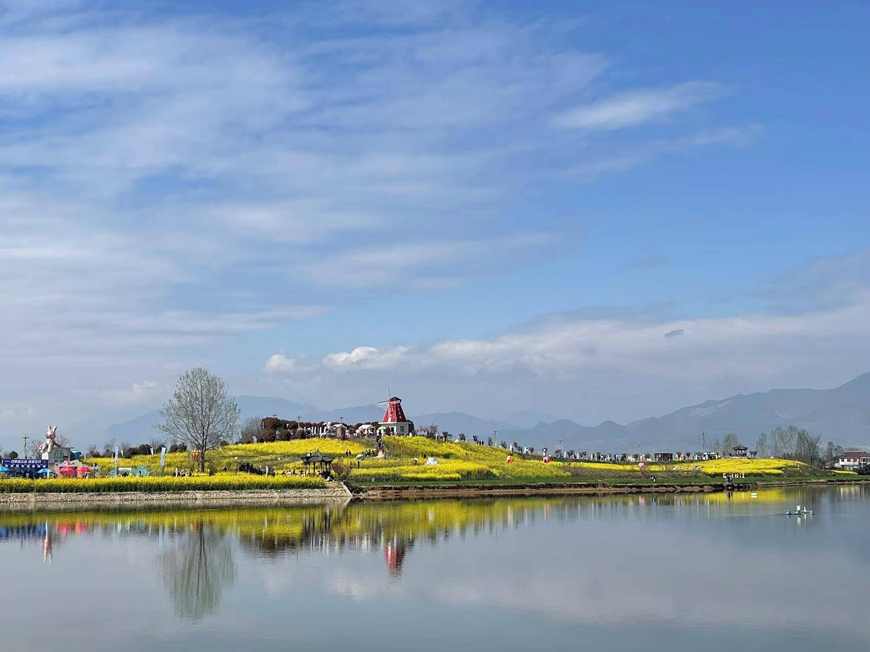 南郑区税惠春风“花海黄” 振兴乡村“有新绿”_陈村_旅游文化节_农家乐