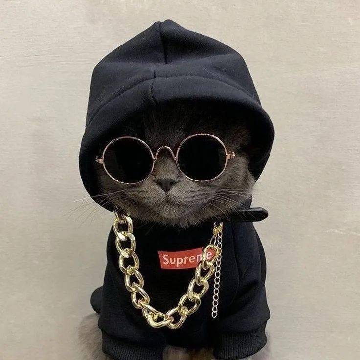 头像| 你会喜欢的可爱搞怪头像