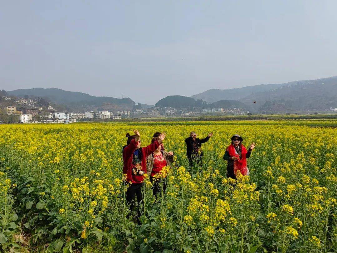 开阳禾丰乡油菜花图片