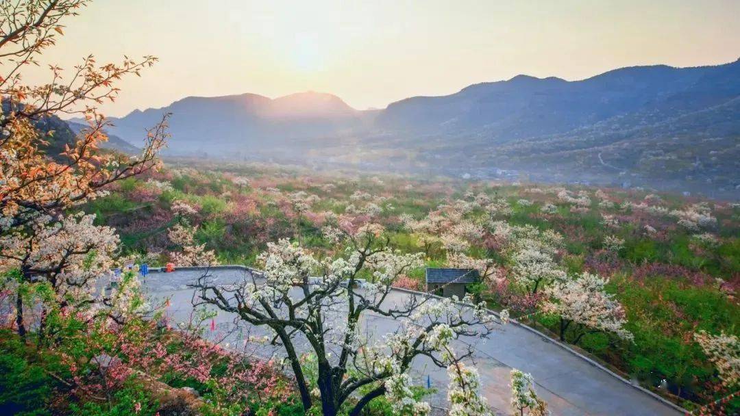 【4月1日】平邑九间棚花海一日穿越探路