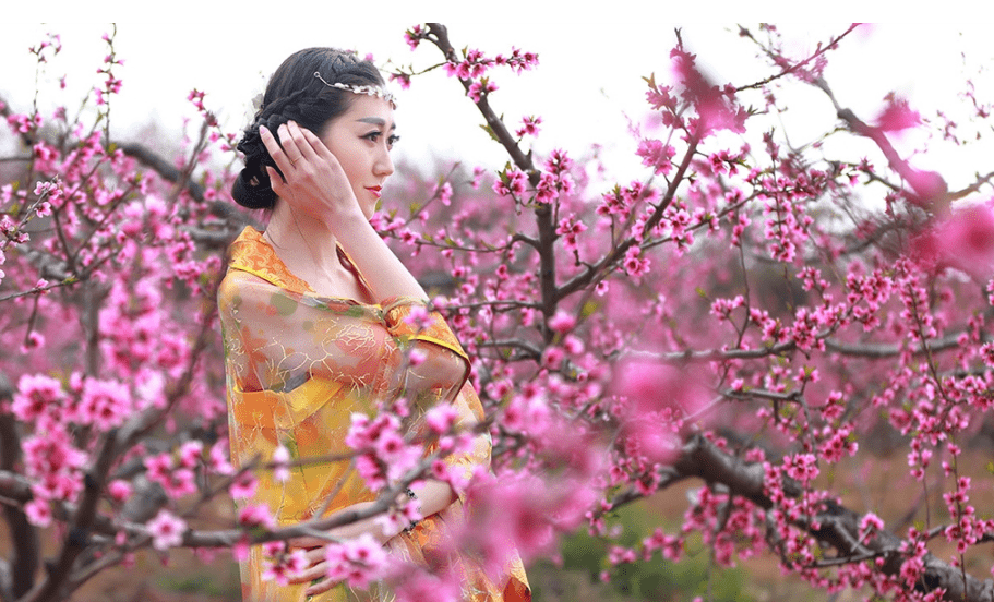 超震撼！“十里桃花” 三亚开 满园飘香等你来！ 门票免费送！约起！