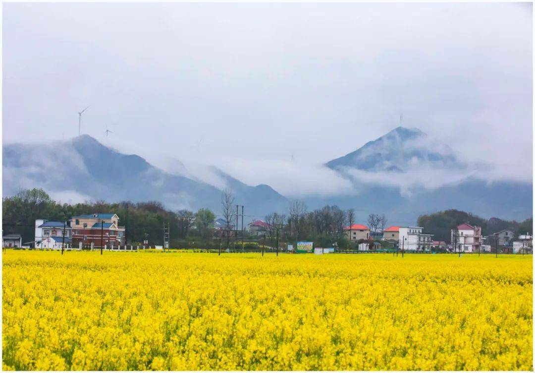 花漾九江61追潯季丨週末終於不下雨,去