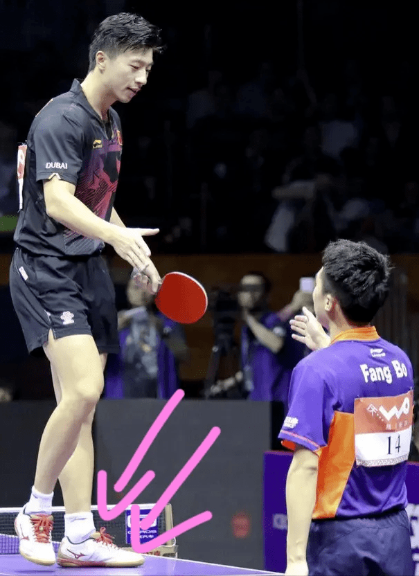 刘国梁正式裁掉2人,马龙小胖动作过大被批评,孙颖莎将再次夺3金