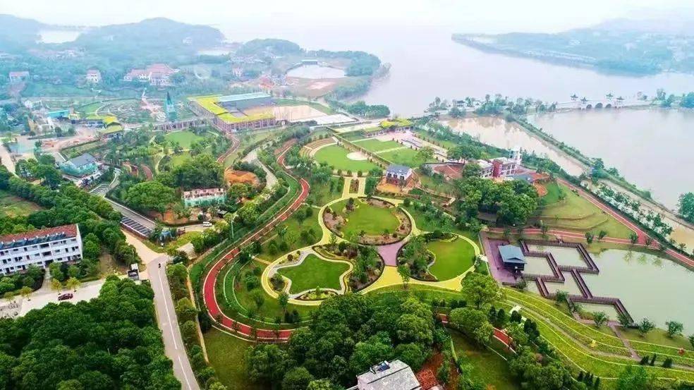 岳阳花语世界郁金香盛开中,百万花海巨好拍!_旅游_活动_油纸伞