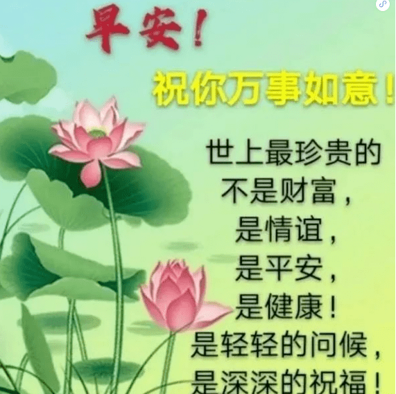 硬核推荐（中秋节快乐的句子）中秋节的诗句简单 第12张