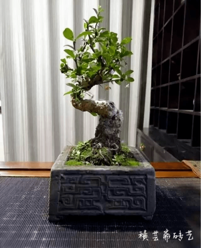 雕刻明清古砖做花盆,不想如此古朴可爱_青砖_砖雕_胸怀