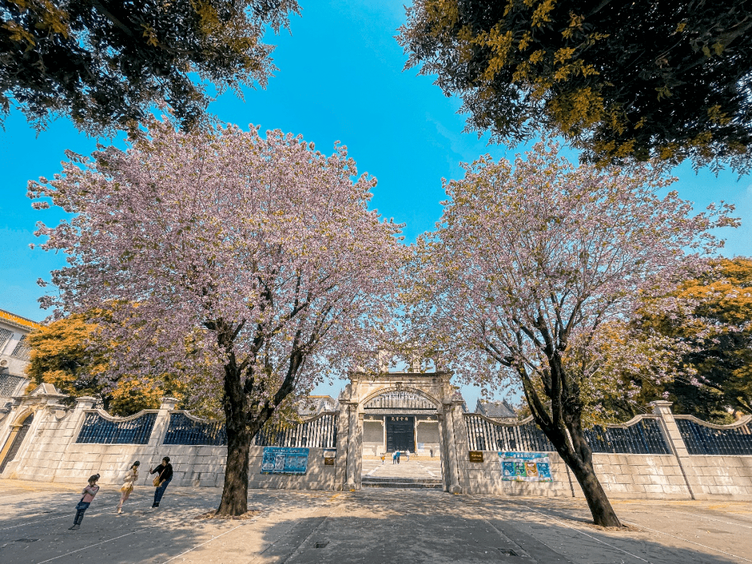 釜山公園木棉花和龍光塔的合影從油灣公園望向白水帶油灣公園江海區