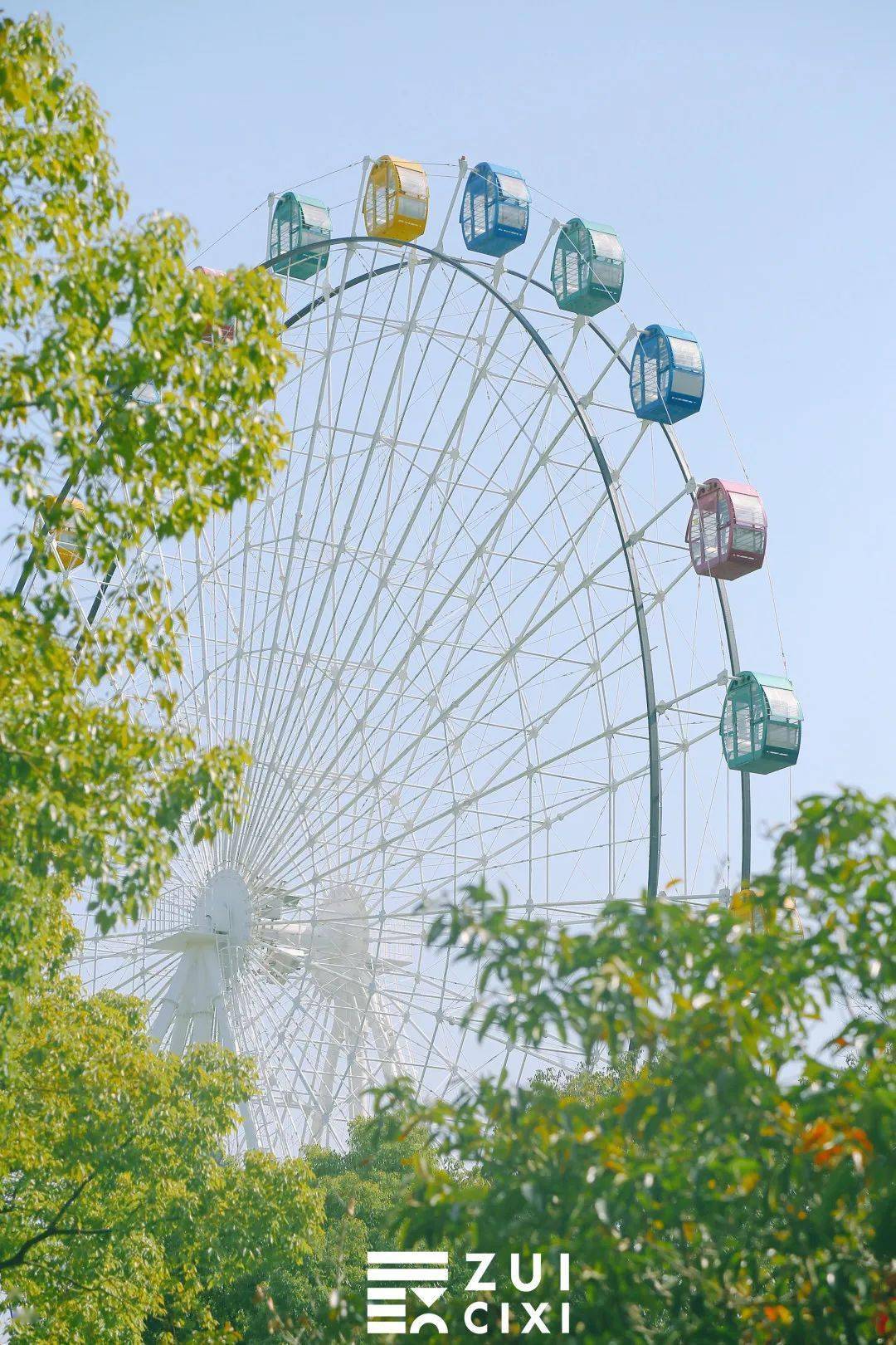 慈溪这个免费停车场开始收费了,就在峙山公园附近……_天气_登山_梅花