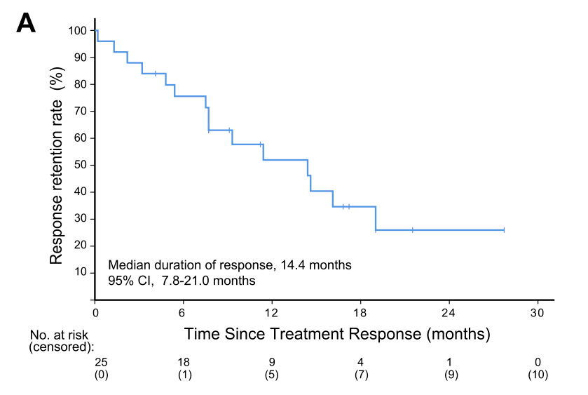 ���й�����������������ڡ���ǿ�����Ŷ����ֳɹ����� ...
