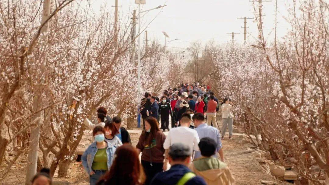 来自春天的报导 | 开展“赏花经济” 激发消费活力