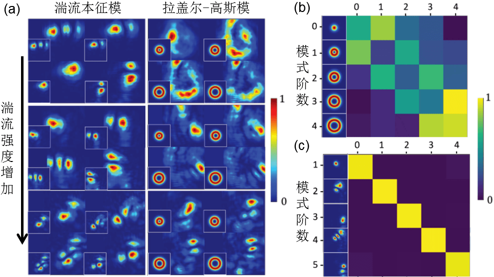 Advanced Photonics | �����������ɴ��еĽṹ��