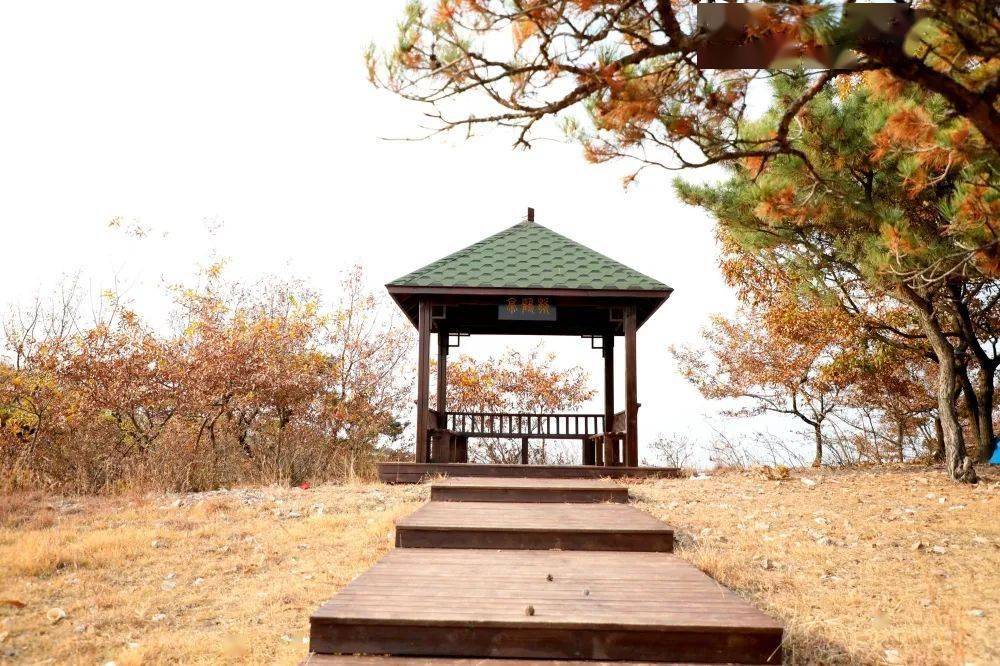 枳沟镇庙山文化旅游周活动安排出炉啦!速戳→_红色_庙会_游客