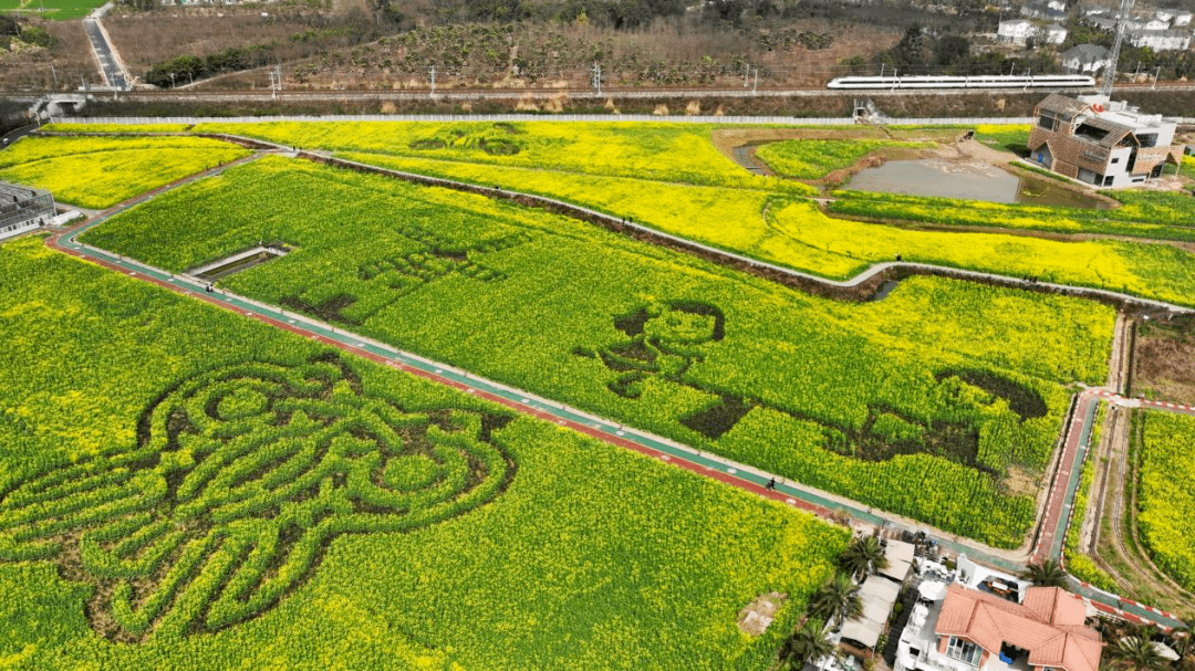 崇州市白頭鎮一同享受春日的浪漫美景觀景,拍照,嬉戲傳來陣陣花香隨著