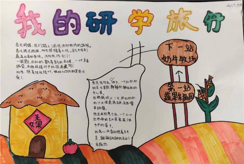 回到家的孩子们抑制不住激动的心情,立刻用亲手采摘的蔬菜做了形状