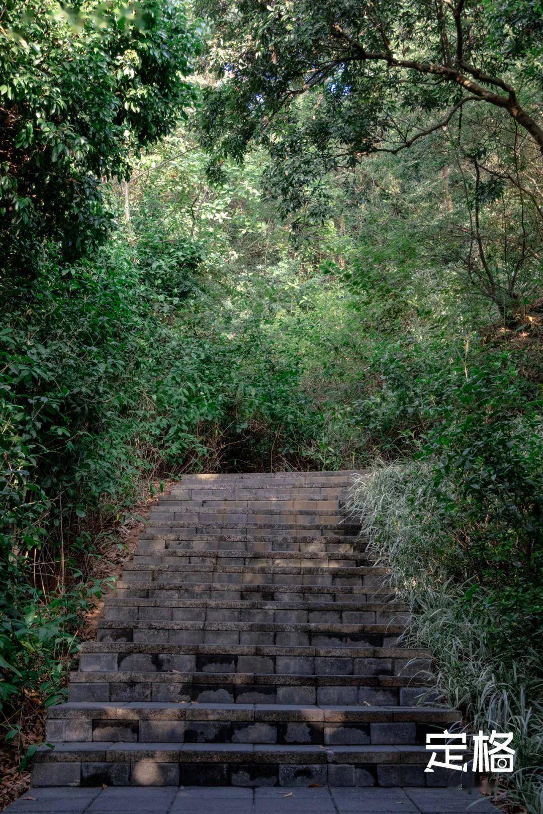 深圳梅林公园_深圳梅林山郊野公园_深圳梅林公园在哪个地铁站