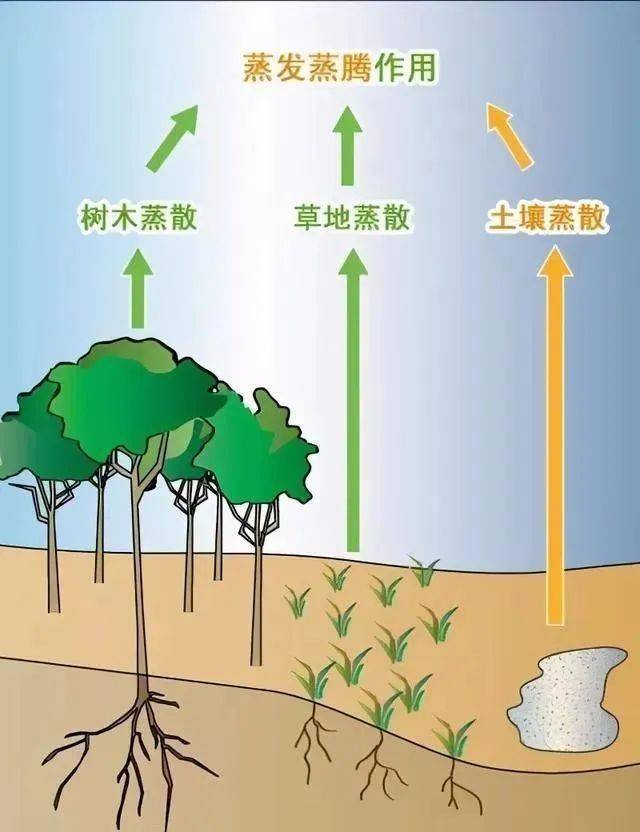 自然科普 | 为什么不能把所有沙漠变成森林,原来沙漠作用这么大!_我国