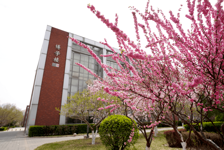 首经贸的春日温度"记"_阳光_莘莘学子_青春