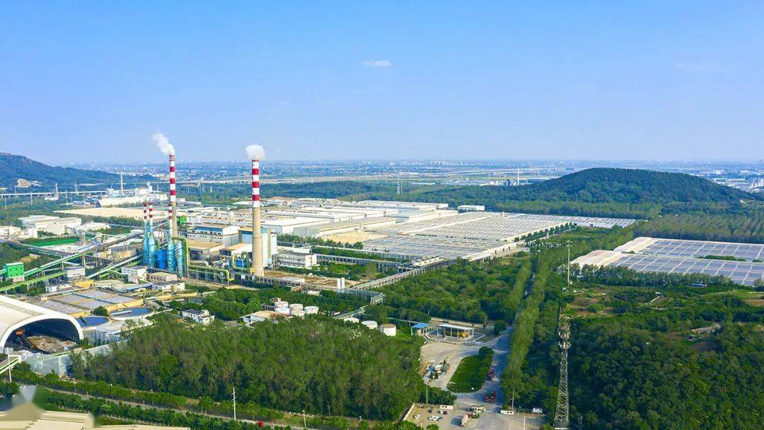 金东纸业三期屋顶光伏发电项目开工仪式举行