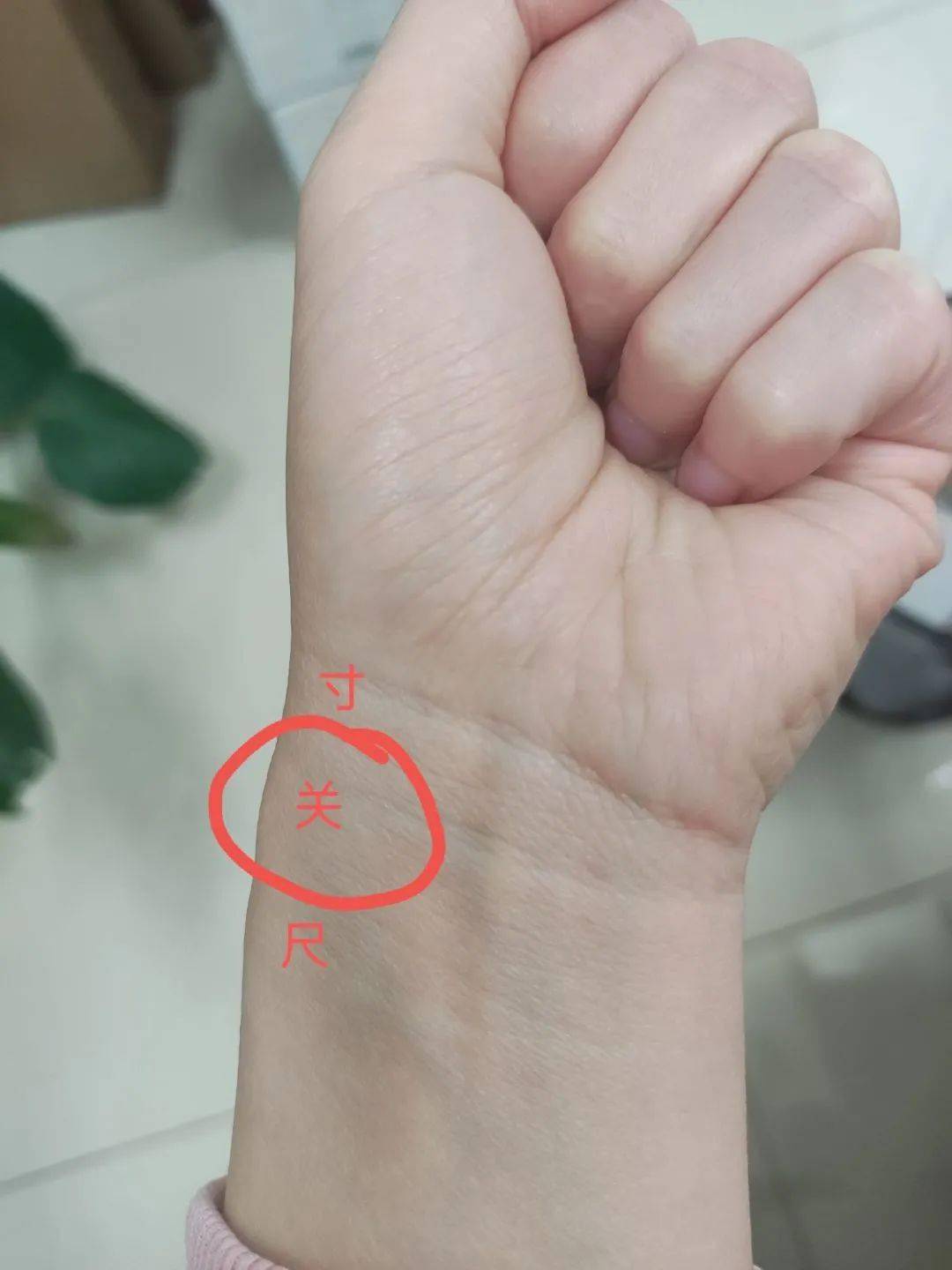 下指时,先以中指按在手腕掌后骨骼突出位置的内侧,这里有动脉搏动,此
