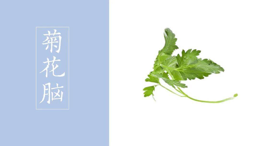 试寻野菜炊春饭,便是江南二月天_马兰头_荠菜_植物