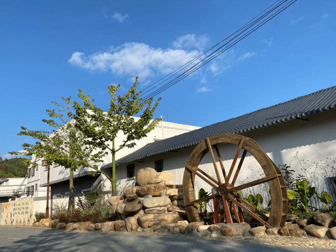 享受着美丽乡村建设带来的幸福生活村民们悠闲地散步,运动,跳舞树木