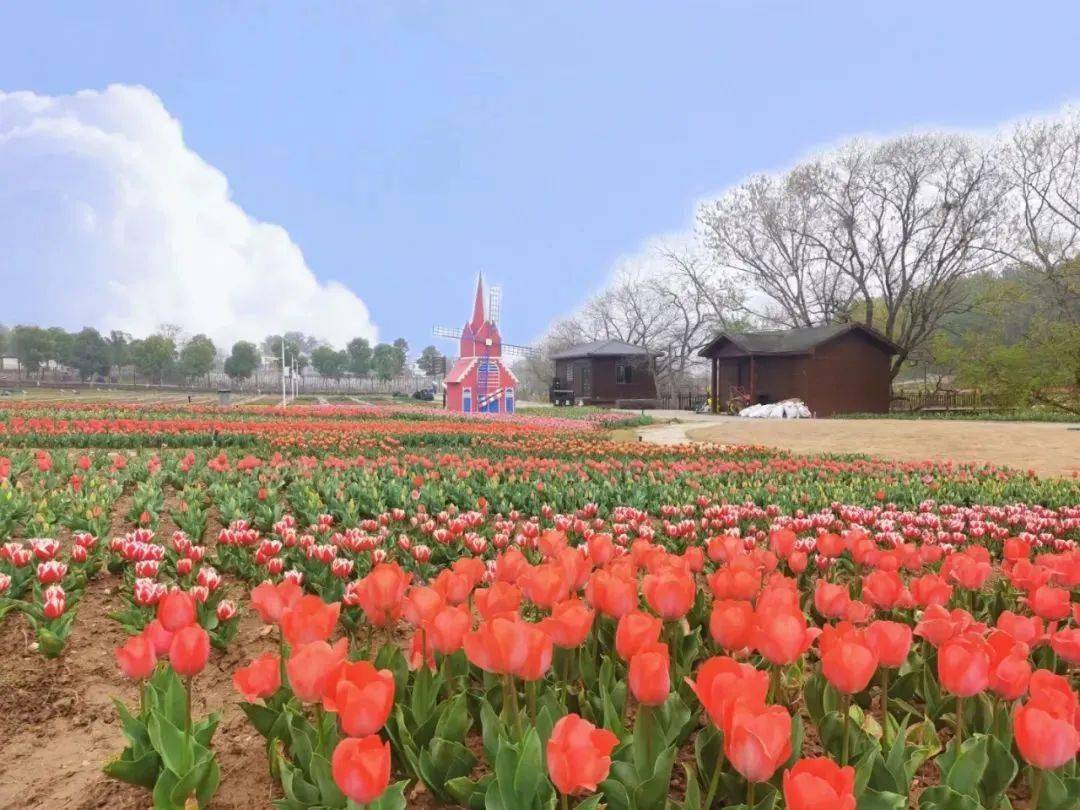 【武汉木兰花乡旅游景区丨电话预约】448元起享武汉木兰花乡平时价