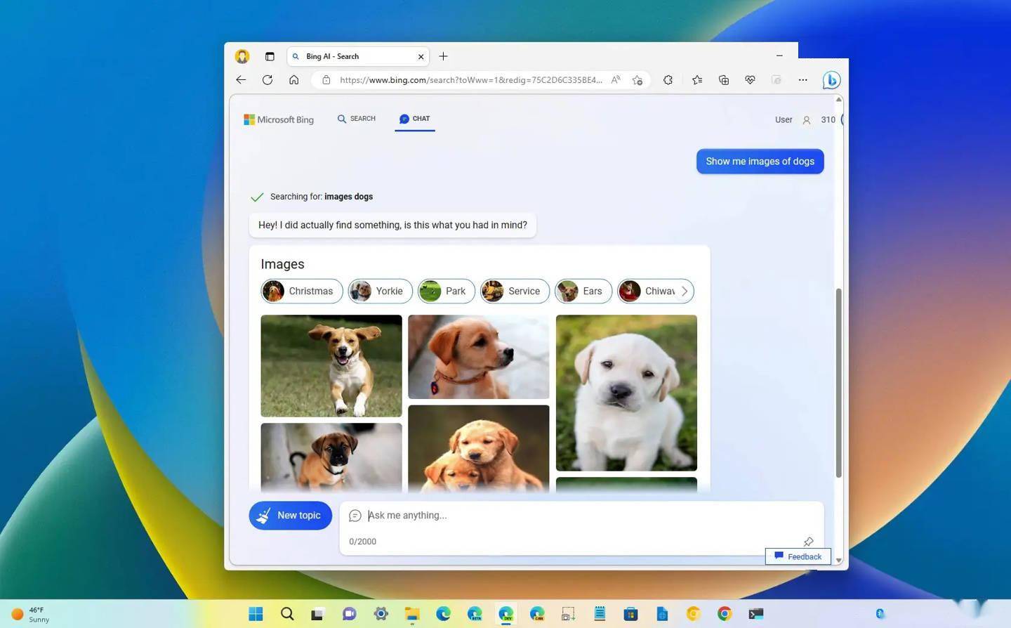 微软改进必应聊天（Bing Chat） 引入整合图像和视频搜索