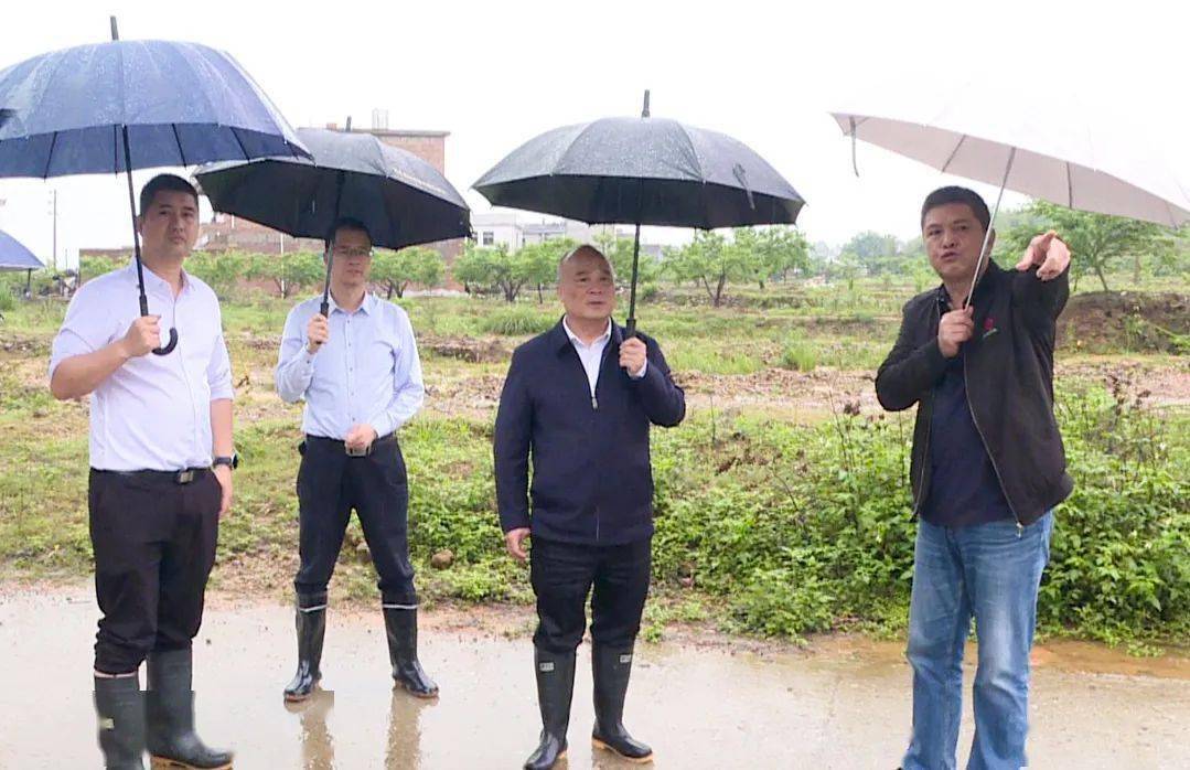 邓小强检查督导防汛防灾工作:时刻保持高度警惕 全力以赴筑牢防汛安全