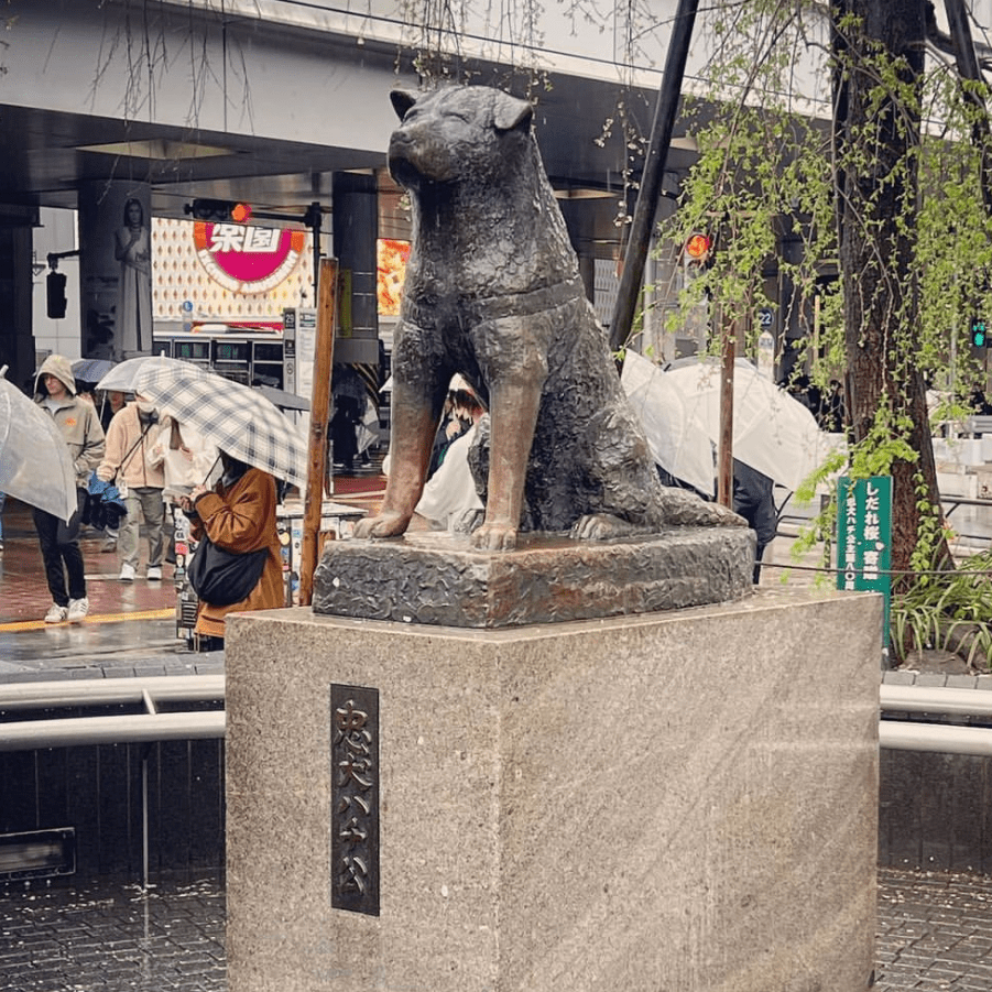 忠犬八公雕塑地址图片