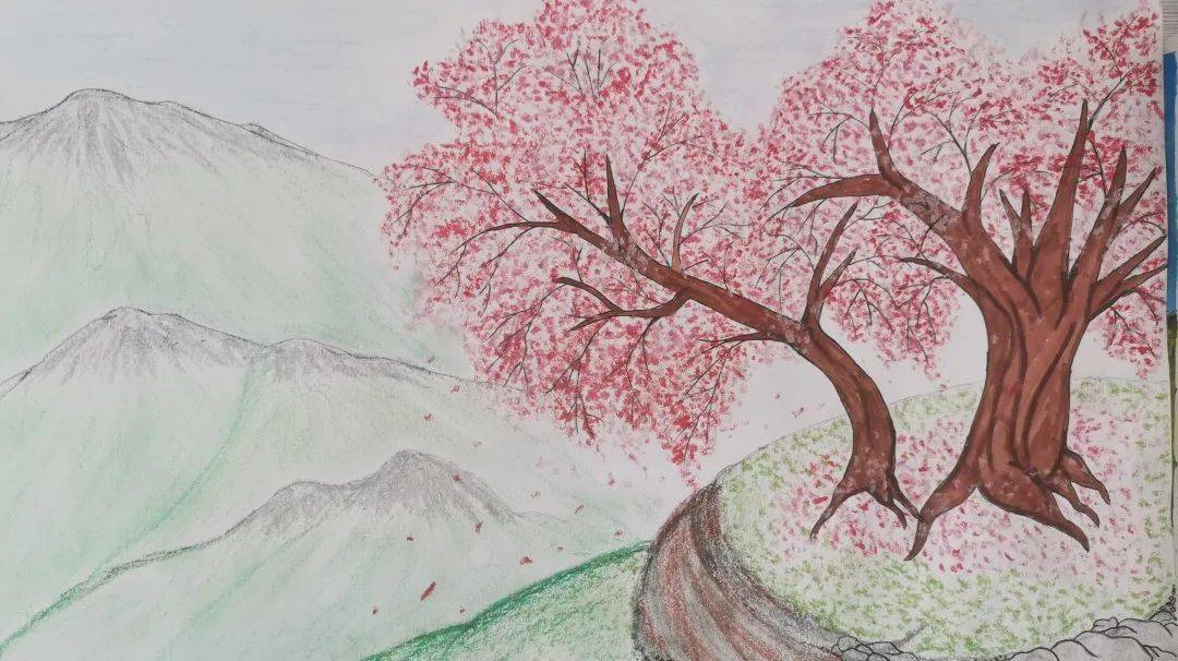 二年级樱花盛景绘画图片